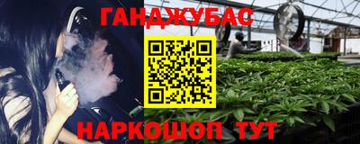 прущие грибы Заводоуковск