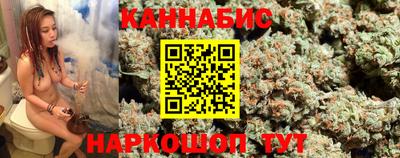 прущие грибы Заводоуковск